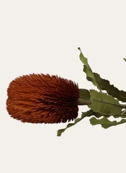 FLEUR ARTIFICIELLE BANKSIA ORANGE