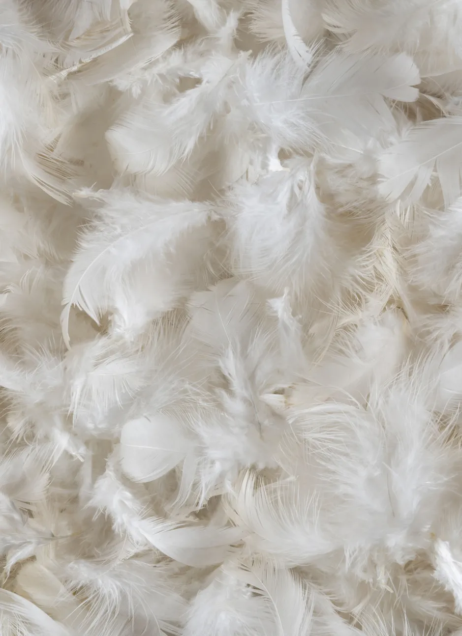 OREILLER CARRÉ NATUREL FERME ANTI-ACARIENS BLANC